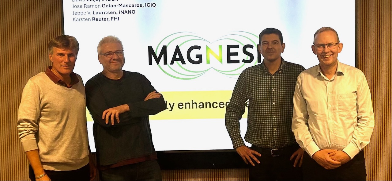 magnesis consortium