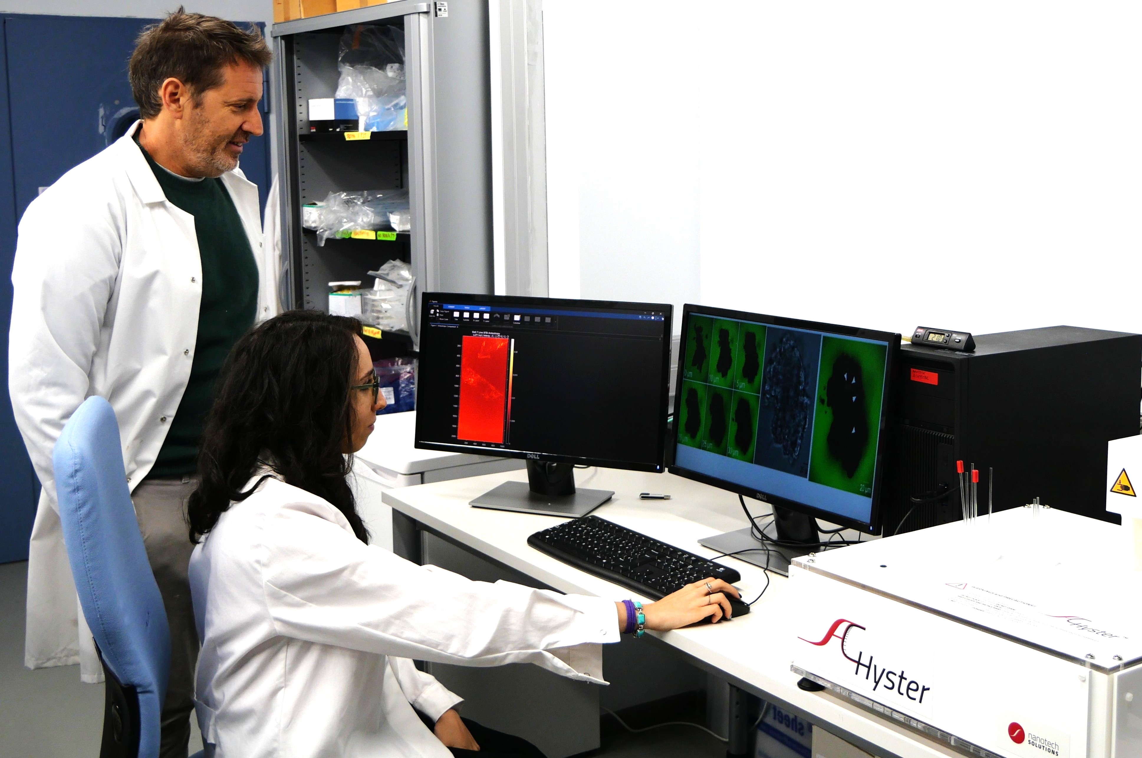 sebastian lab