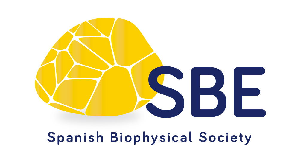 stm rseq transp